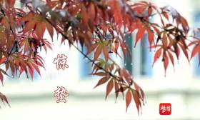 如诗如画！南京这所高中的二十四节气太惊艳！