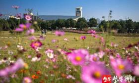 江苏好高职|苏州卫生职业技术学院：相约苏卫，2022年提前招生报考指南