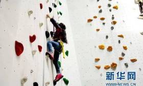 “4岁小孩挑战专业攀岩”，儿童运动这么“卷”了？
