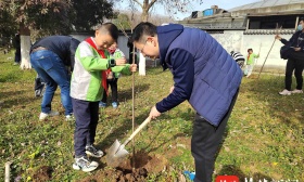 为绿色家园培土 为美丽中国助力 南京游府西街小学开展植树活动