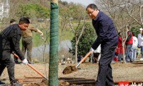 “十年树木，百廿树人”！南师大师生种下120棵树迎百廿校庆