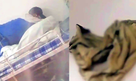 吉林医药学院回应外校入住男生乱翻女生内衣：当事人未满17岁，已批评教育