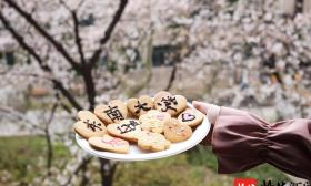 美！又见东南大学网红樱花教室