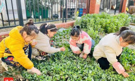 春分到，孩子们学做“豌豆饼”，玩“立蛋”游戏