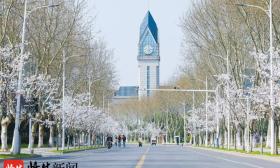 风传花信，雨濯春尘，请查收这份来自江苏高校的“最美邀约”——