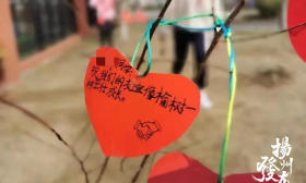 扬州：千里“云”牵手 暖童心促教研