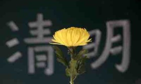 清明将至，用适当的“生命教育”引导孩子正确看待“生死”