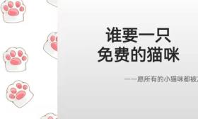 谁要一只免费的小猫咪？南京24名一年级萌娃原创绘本超可爱