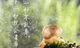 距高考还有50天 加油少年！