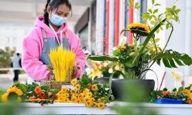 职业教育法首次大修，将带来哪些重要改变？