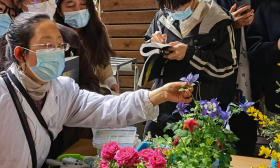 疫情下的南农植物课：别样的春天打开方式