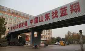 蓝翔校长前妻被女儿实名举报：名下6家公司已关停，曾两次入狱