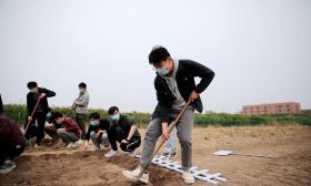 下地种菜可以拿学分，天津大学学生开耕校内10亩“责任田”