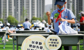 孩子们，上劳动课了！学什么？怎么上？咋评价？