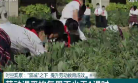 时空观察：“双减”之下 提升劳动教育成效