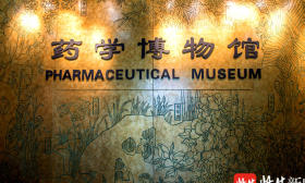 马王堆汉墓中的辛追夫人为何能千年肉身不腐？秘密就在这个“防腐药包”里