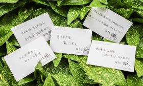 守十万期盼，助梦想远航——我省2022年普通高校“专转本”选拔考试顺利结束！
