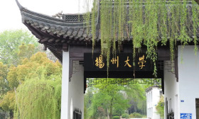 扬州大学引培并举建设高水平人才队伍
