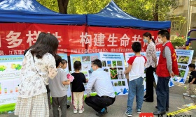 常州有多少种鸟？答案就“藏”在这场公益行动中