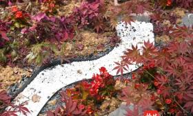 看！南工大学子造了座诗情画意庭院，他们还“自给自足”种植了……