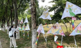 烦恼随风消散， 南财开展“525”风筝设计大赛