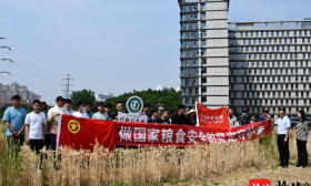 江大这堂“劳动教育课”，在小麦地里上！