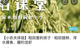 六一、端午、暑假研学游成“热潮”