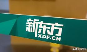 一晚卖几万本书，5万月薪急招主播！新·业界良心·东方还不要坑位费