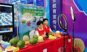 北京市教委刘宇辉解读“职教京十条”，职业本科试点工作已启动