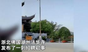 法华寺招聘启事引热议：资料员朝九晚五月薪上万，厨师包吃住月薪8000