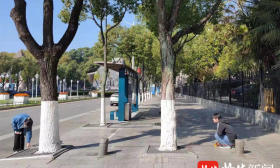 老街换新颜，南工大学子这样守护历史记忆