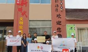 南京大学生手绘大幅“文化墙” ，让乡村美起来！