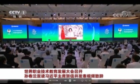 世界职业技术教育发展大会召开 孙春兰宣读习近平主席贺信并发表视频致辞