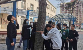 从大树到长凳，北京这所小学的劳动课上演“大树变形记”