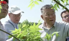 “入党引路人”青春微讲堂 | 第五课：传承