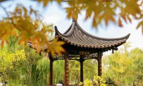 秋风轻拂校园，散落满地诗意——江苏校园秋景合集②