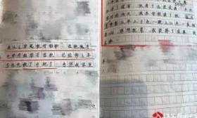 男孩学吉他6年获“世界冠军”，写进作文遭同学嘲笑，父亲起疑心发现证书单词拼写错误