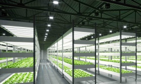 帮助农户专家对接、加大农机研发，委员为北京农业发展出谋划策