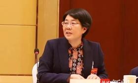 2023江苏两会|省政协委员邢卫红：加快推进医疗保障数字化，服务健康江苏建设