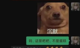 家长是如何把天聊死的？大学生晒出聊天记录，网友：鉴定了是亲妈