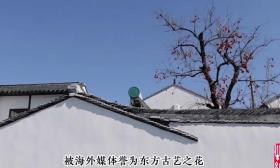苏大博物馆里藏着“东方古艺之花”