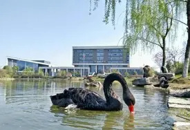 中国药科大学着力加强新时代人才队伍建设