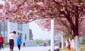 花开盼君来！中国药科大学为校友重启进校园绿色通道