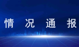 教育部通报叶圣陶杯华人青少年作文大赛违规，提醒家长谨防上当
