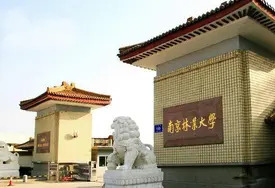 南京林业大学扎实推进毕业生就业工作