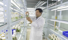 全国政协委员范国强：涉农大学毕业生从事农业工作，建议提高待遇