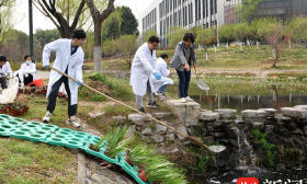 把蔬菜绿植“种”在湖面上，南医大学子充“植”过节
