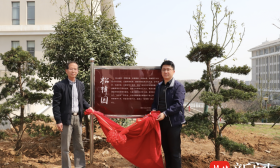 种一片树，念一对人——南工大“松樟园”里有故事