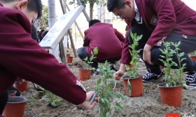 国潮范儿！南医大携手海中在植树节种下药用植物