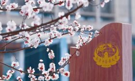 春天在哪里 | 江苏校园踏春行①